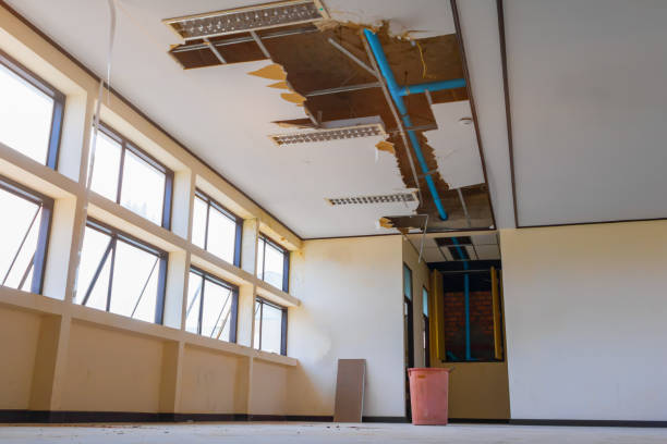 Reliable AR Water damage restoration Solutions