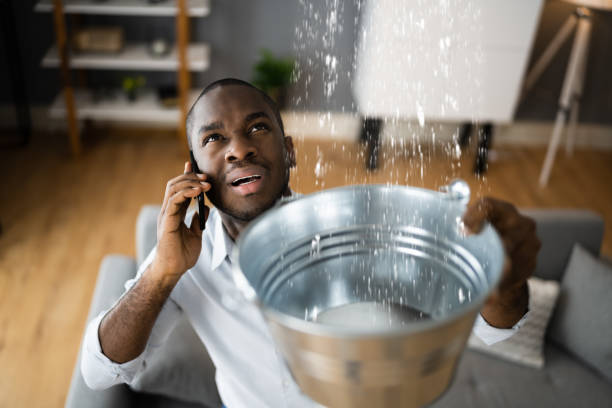 Best Water damage restoration near me  in Osceola, AR