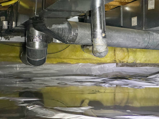 Best Water damage restoration near me  in Osceola, AR