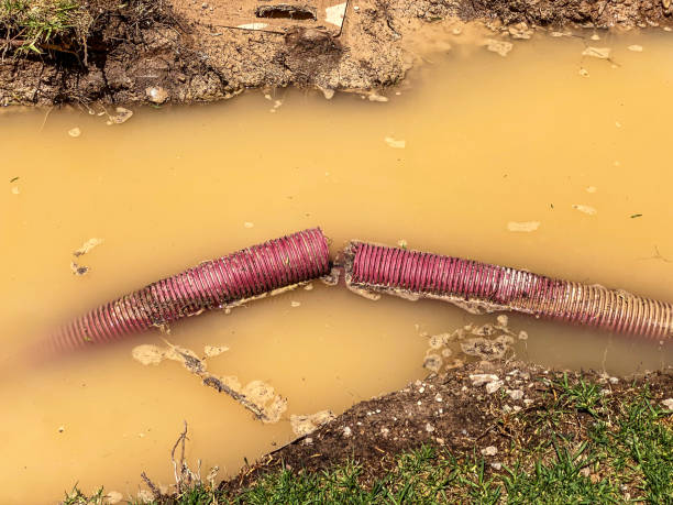 Best Water damage restoration near me  in Osceola, AR