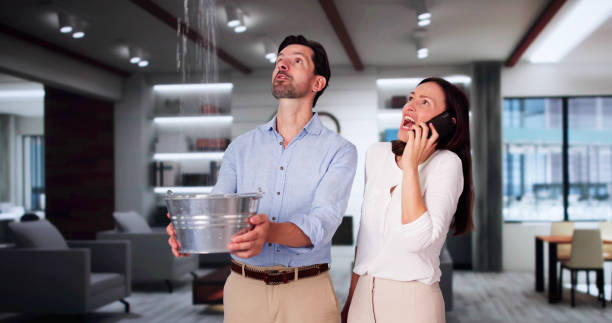 Best 24-hour water damage restoration  in Osceola, AR