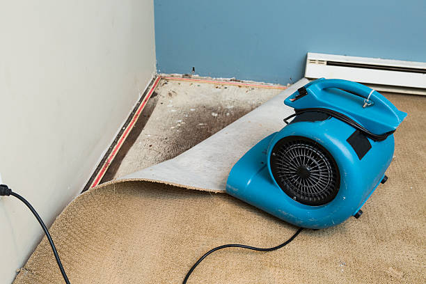Best Fire Damage Restoration  in Osceola, AR